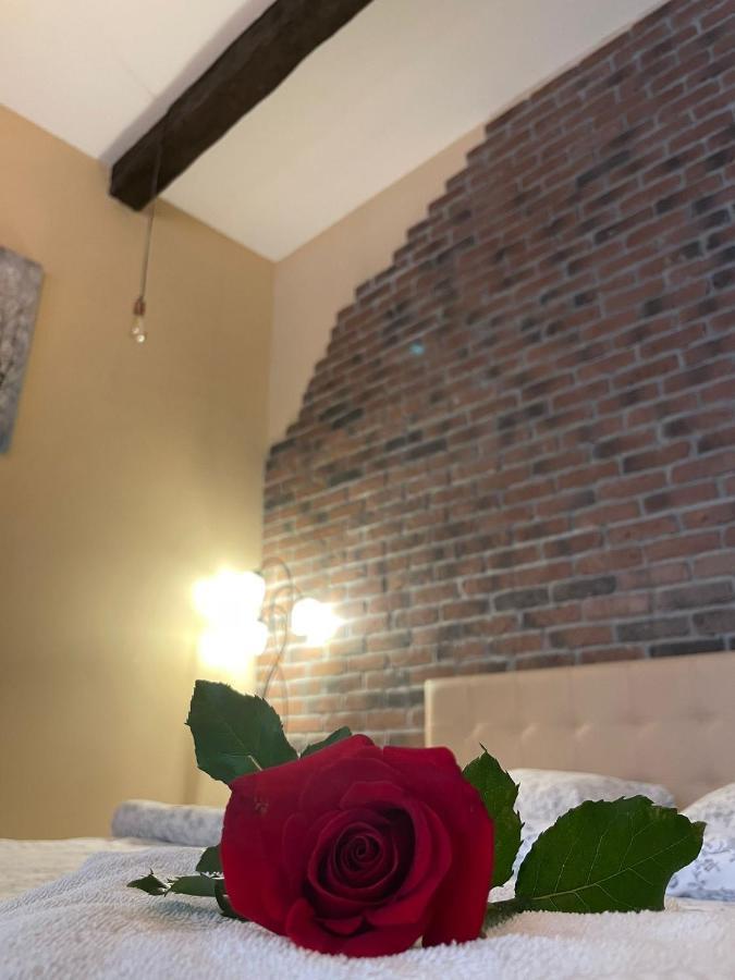 Select City Center Apartments ブラショフ エクステリア 写真